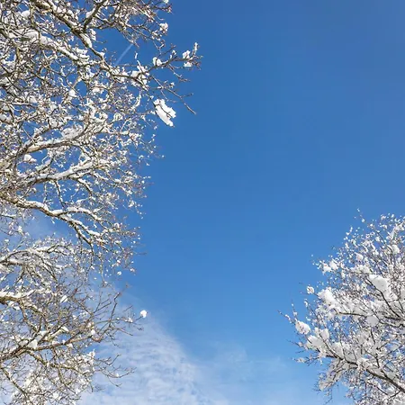 Bergblick شقة